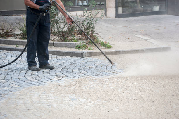 Best Gutter Cleaning  in Gages Lake, IL